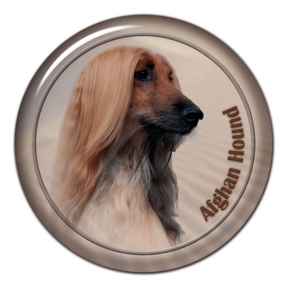 Afghan Hound