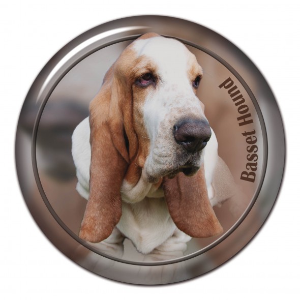 Bassethound