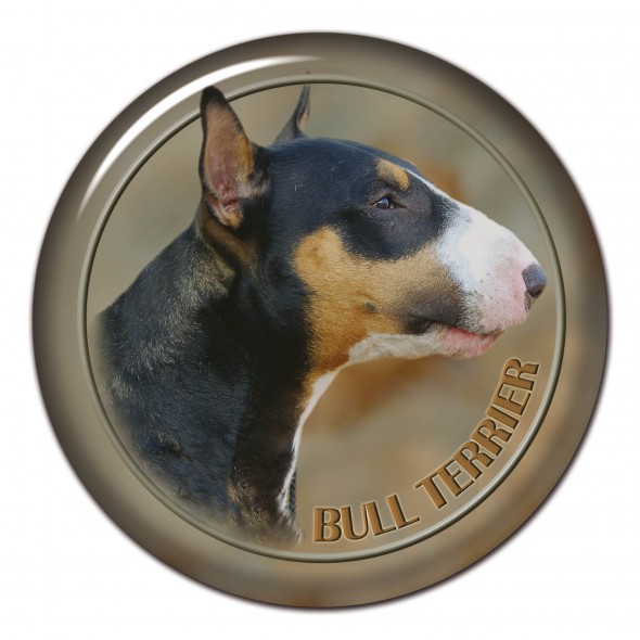 Bull Terrier