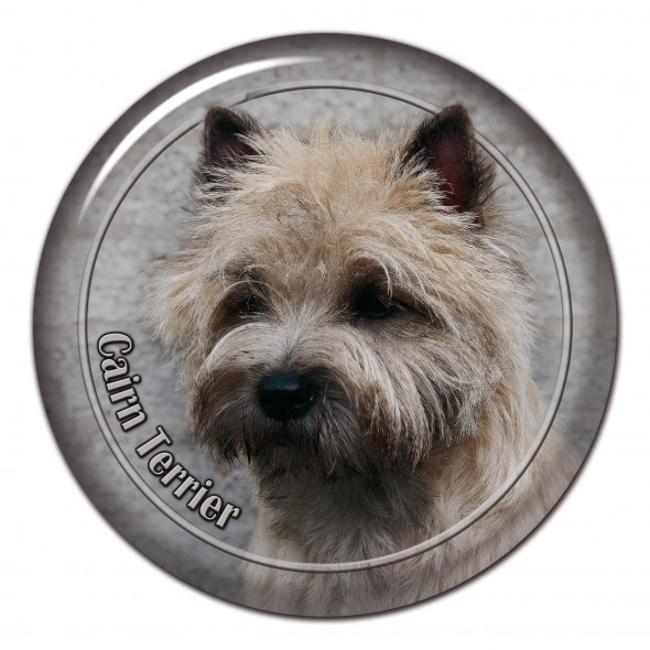 Cairn Terrier