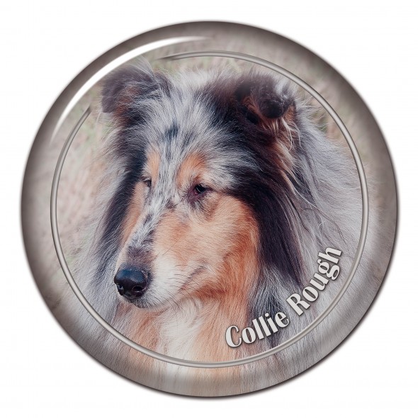 Collie Rough