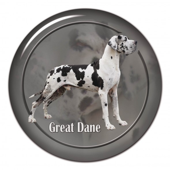 Great Dane