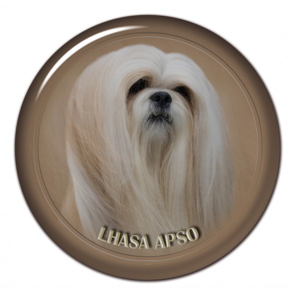 Lhasa Apso