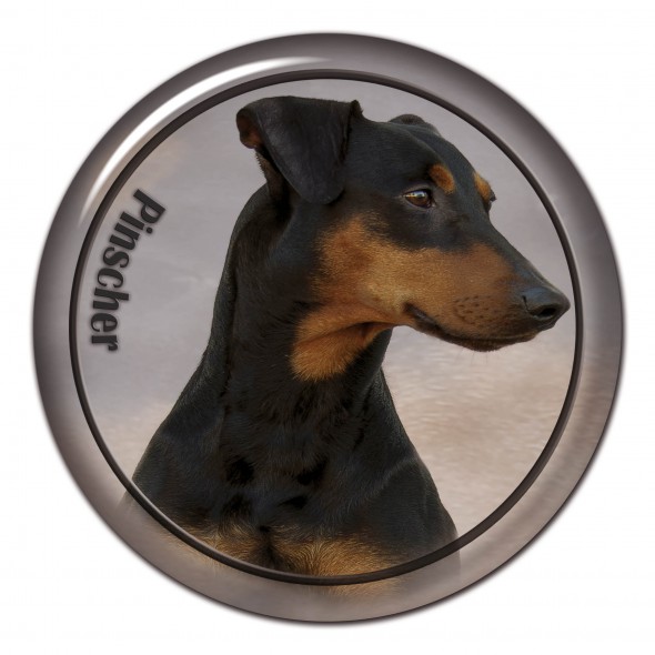 German Pinscher