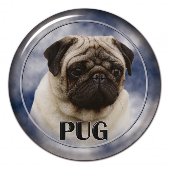 Pug