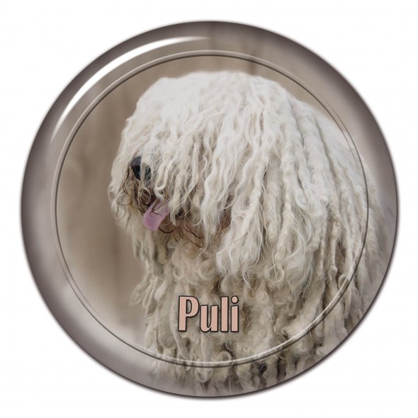 Puli