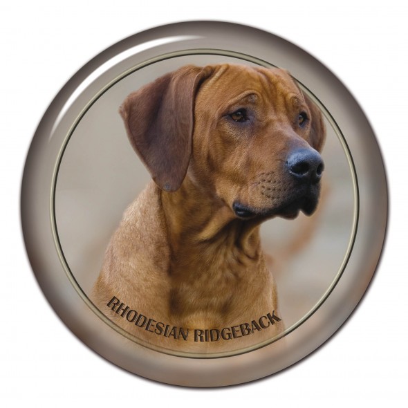 Rhodesian Ridgeback