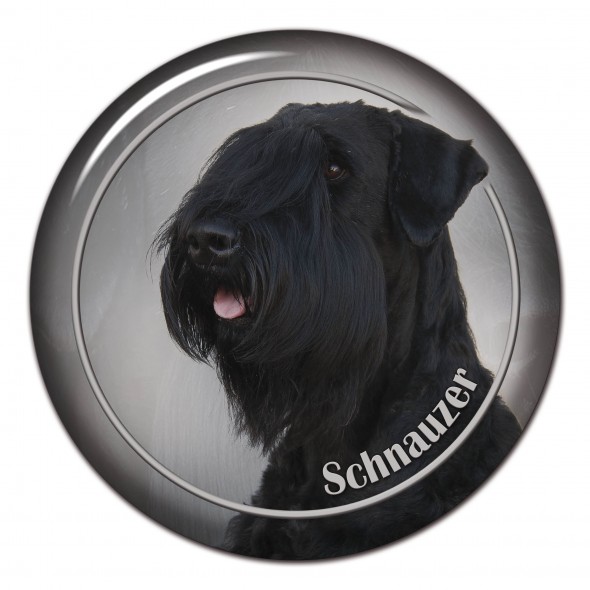 Schnauzer