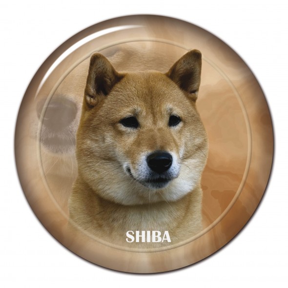 Shiba