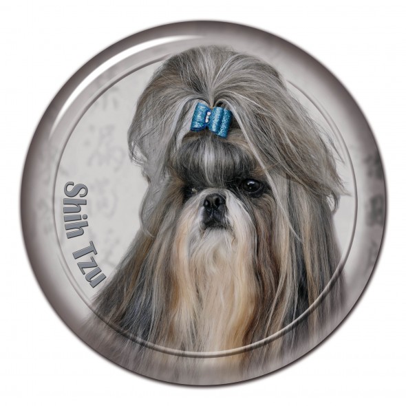 Shih Tzu