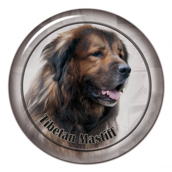 Tibetan Mastiff