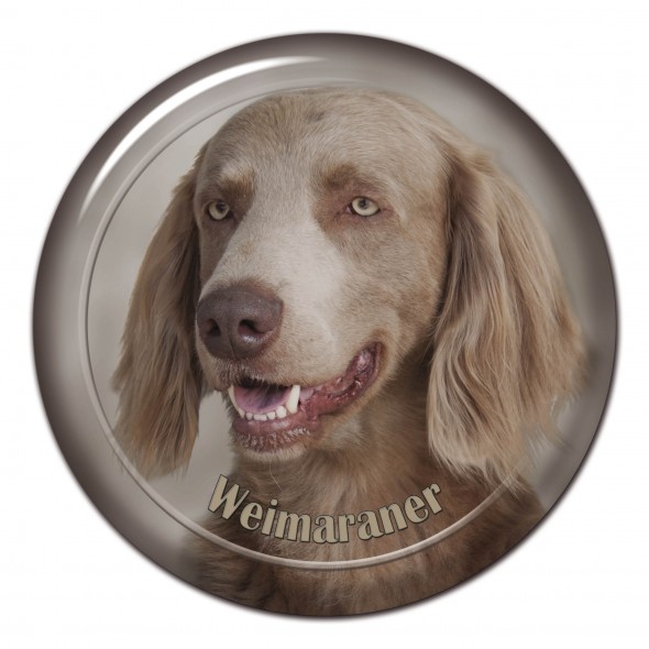 Weimaraner