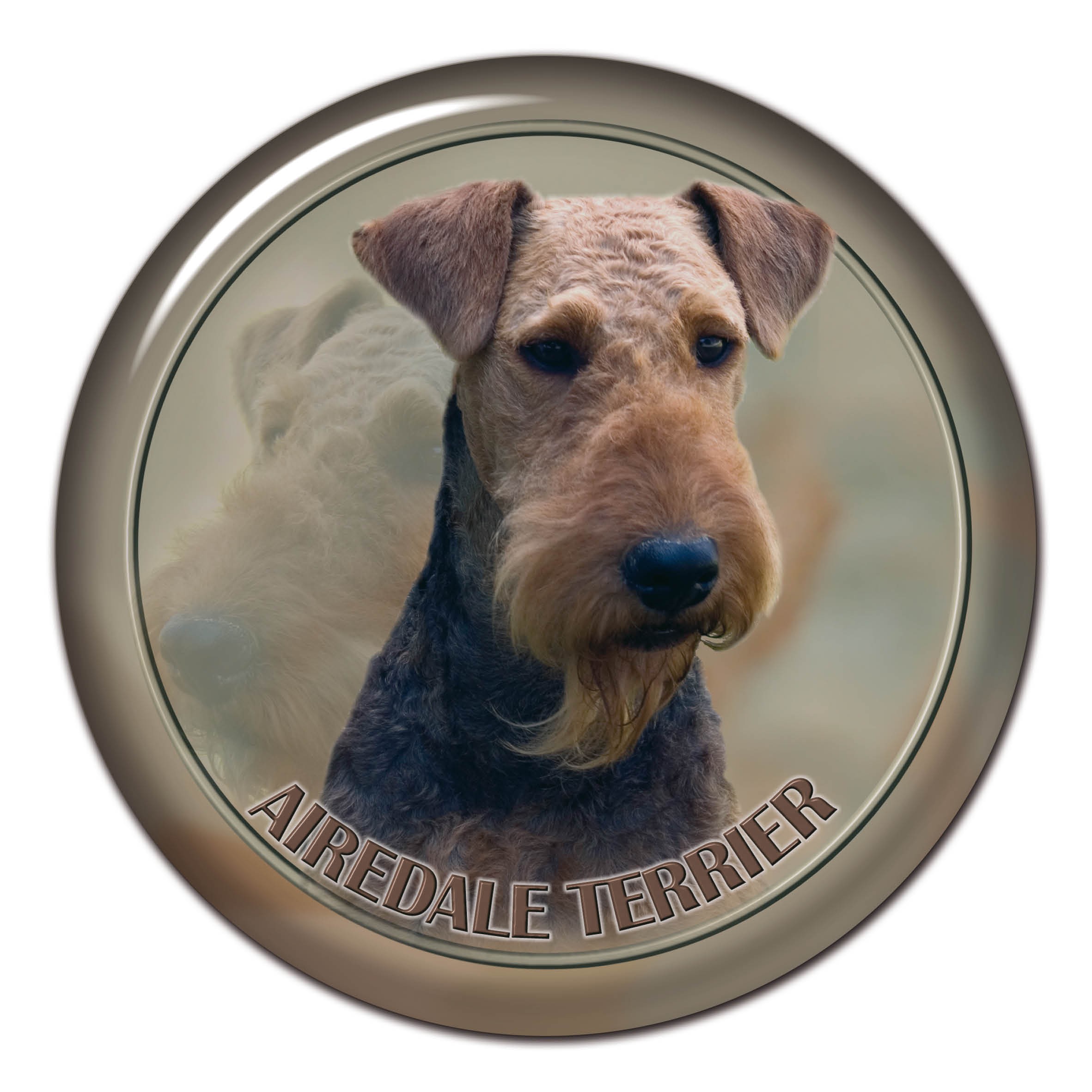 Airedale terrier shop 101