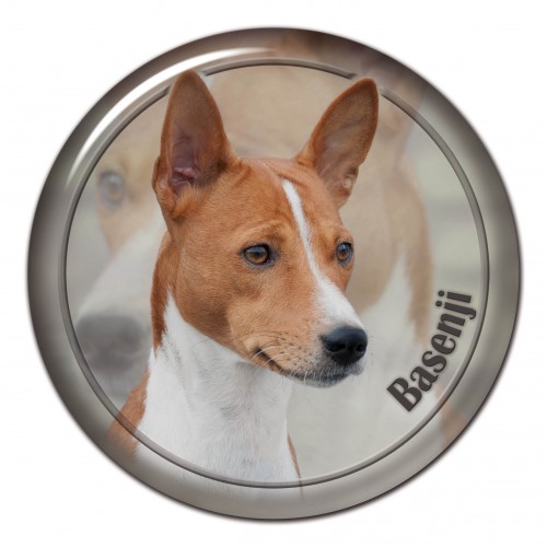 3D samolepka Basenji 101 C