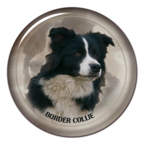 3D samolepka Border Kolie 101 C