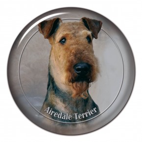 Airedale Teriér 102 C