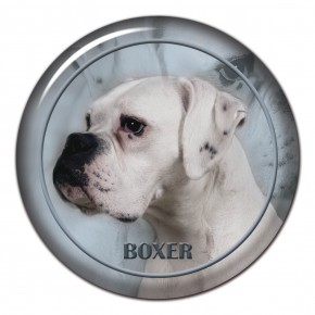 Boxer 106 C