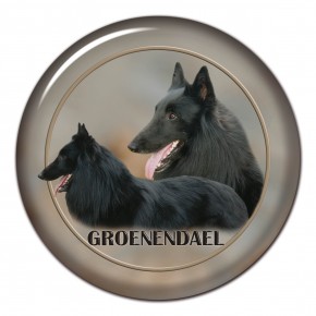 Groenendael 101 C