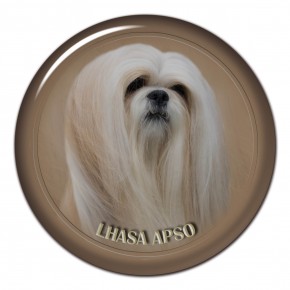 Lhasa Apso 101 C