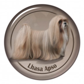 Lhasa Apso 102 C