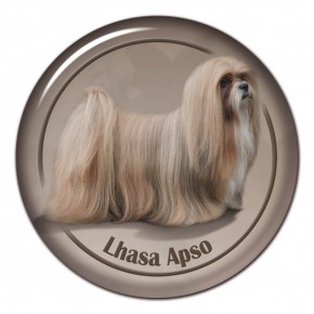 Lhasa Apso 102 C