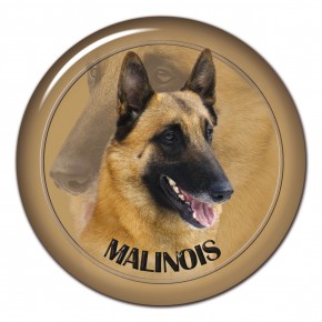 Malinois 101 C