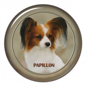 Papillon 101 C